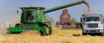 ارتفاع أسعار تصدير القمح الروسي بفعل الظروف الجوية الصعبة