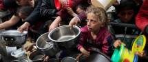 أوراق التوت.. ملاذ سكان غزة للنجاة وسط تفشي الجوع
