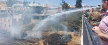 الحرائق تلتهم عشرات الدونمات من أشجار الزيتون في اللاذقية