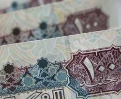 المركزي المصري يبيع 120 مليون دولار في عطاء لتغطية متأخرات شركات