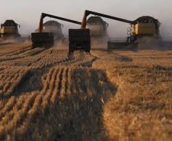 النظام يشتري القمح من روسيا بسعر أعلى مقارنةً ببلدان أخرى