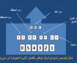 رقم وطني.. للحيوانات في سوريا