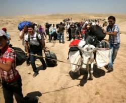 مسؤول أممي: 18 ألف لاجئ سوري عادوا من كردستان العراق