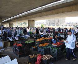 لبنان يمنع دخول المنتجات الزراعية السورية.. وموقع موالٍ يصف المسؤولين اللبنانيين بالغباء