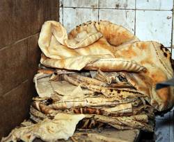 ما قصة القوارض المنتشرة في الخبز السوري!