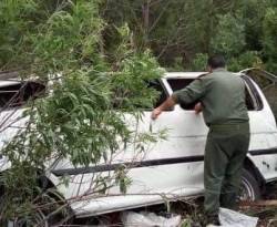 بسبب أزمة النقل.. مجزرة بشرية في حادث سير بطرطوس