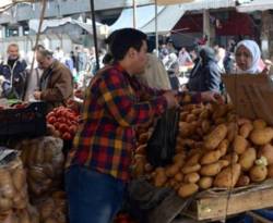 تحذيرات من ارتفاع سعر البطاطا إلى 15 ألف ليرة للكيلو