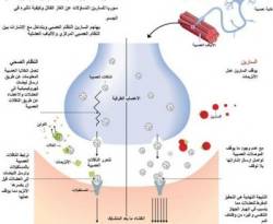 في حالة الإصابة بغاز السارين الكيماوي ماذا نفعل؟