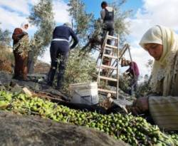 معدلات التضخم تجاوزت 450%..العائلات ترجع إلى الزراعة.. هل يعيش الاقتصاد السوري في مخاضٍ جديد؟