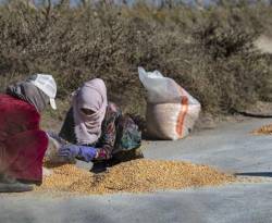 حديث خطير لمسؤول في النظام عن تدهور القطاع الزراعي والمائي في سوريا