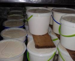 أسعار الخضار ومشتقات الحليب في مدينة حلب